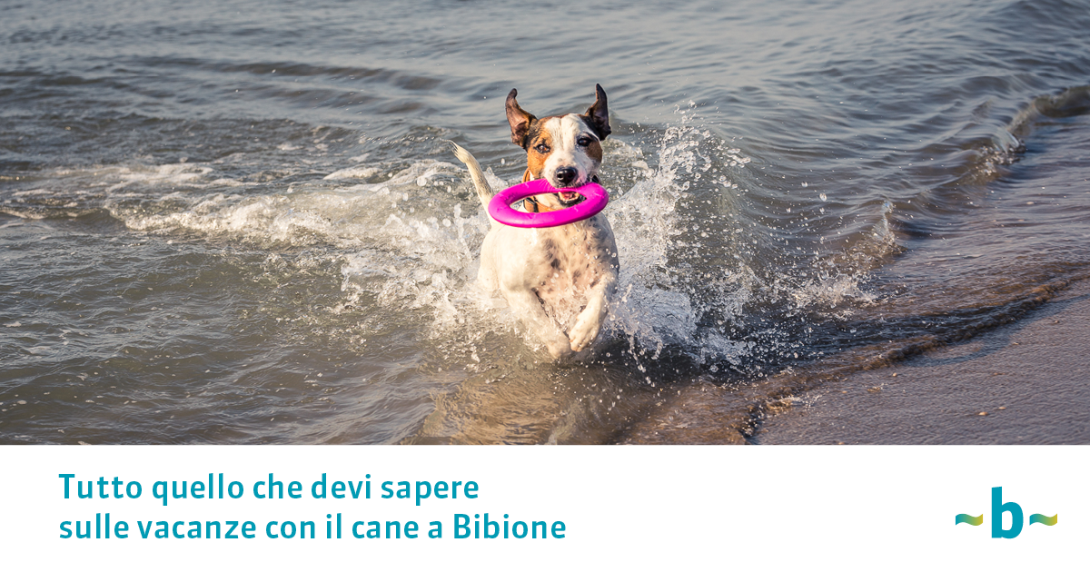 Urlaub mit dem Hund Bibione.eu